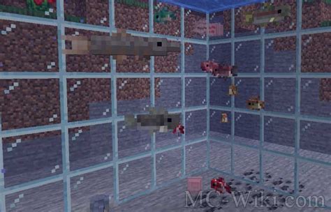 Aquaculture 2 Mod Minecraft MC Wiki