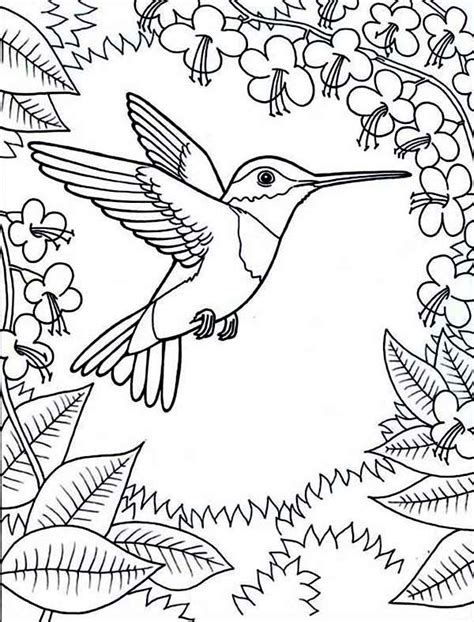Kids are widely fascinated by the tiny bird for its unique features and distinctive name. Framed By Flowers Hummingbird Coloring Page : Kids Play Color