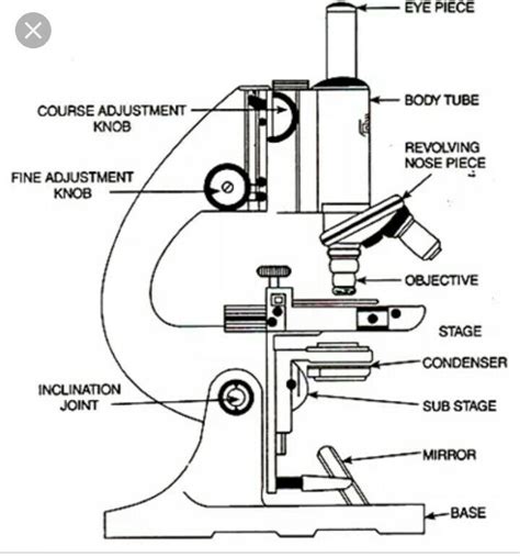 Compound Microscope Drawing