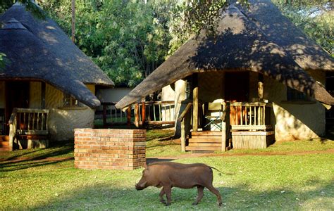 Chobe Safari Lodge Kasane Botswana
