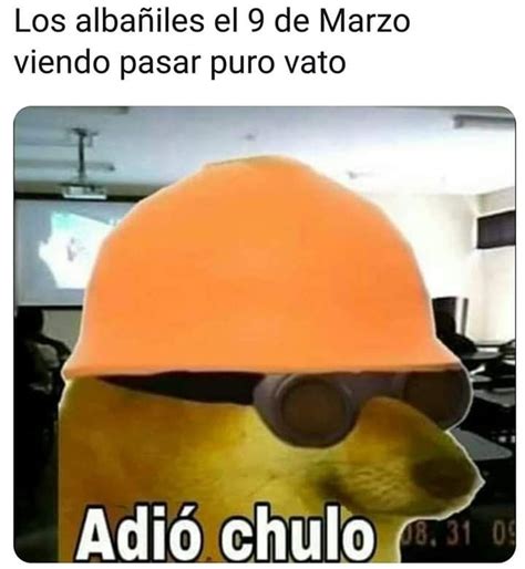 Memes En Español Memes Estúpidos Memes Graciosos Para Whatsapp