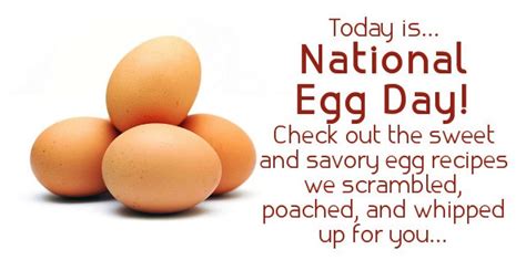 User Blogasnow89national Egg Day Recipes Wiki Fandom Powered By Wikia