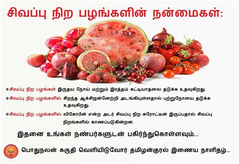 Try food pairing in tamil tamil news from samayam tamil, til network. health benefits of red fruits in tamil | Food infographic ...