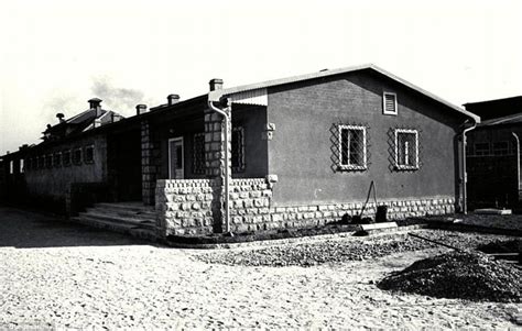 Any use of auschwitz for political statements, even using auschwitz for moral statements, is not the camp was set up in 1940 following hitler's order to hold polish political prisoners, who began. The Auschwitz brothel where prisoners were 'rewarded ...