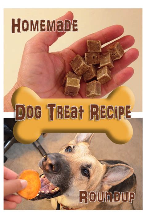 Homemade Dog Treat Recipe Roundup Savvy Pet Care