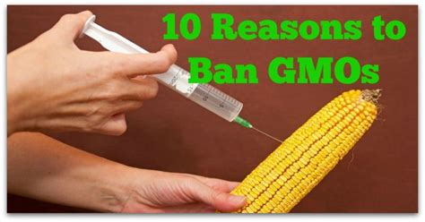 10 Reasons To Ban Gmos Natural Holistic Life Gmos Food Additives