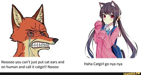 Nooooo You Cant Just Put Cat Ears And On Human And Call It Catgirl