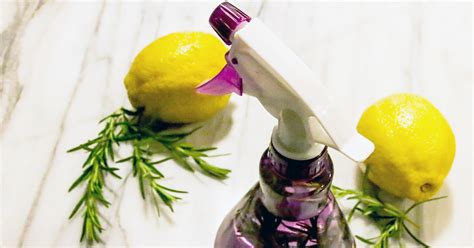 Homemade Bug Spray Natural Recipes For Your Skin Home And Plants