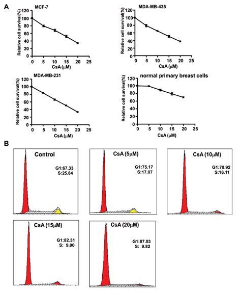 Csa Inhibited The Growth Of Breast Cancer Cells A Mtt Assay Of Cell