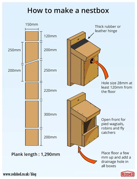 How to build a bird nestbox | Homemade bird houses, Bird house plans
