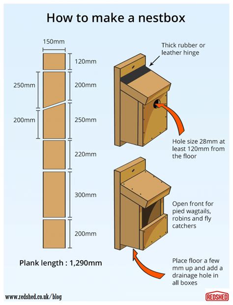 How To Build A Bird Nestbox Homemade Bird Houses Bird House Plans