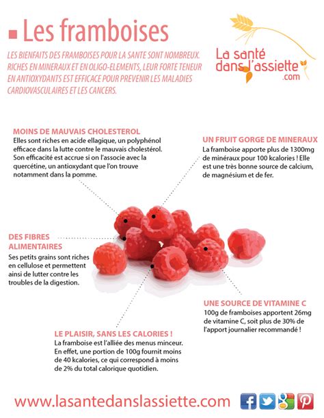 La Santé Dans Lassiette Fiche Pratique Les Bienfaits Des Framboises