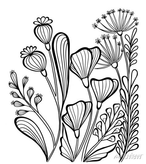 17 Herb Coloring Pages Avariecoraline