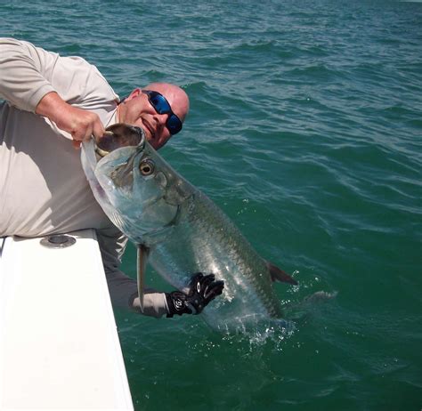 Things to do in st. Capt. John Fidi | Fishing Charters St. Pete Beach, Tampa ...