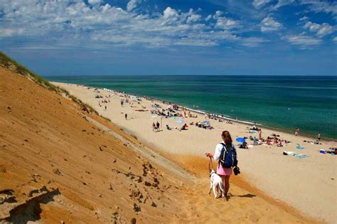 8 Cape Cod Ma Beaches Perfect For Any Occasion Dog Friendly Beach
