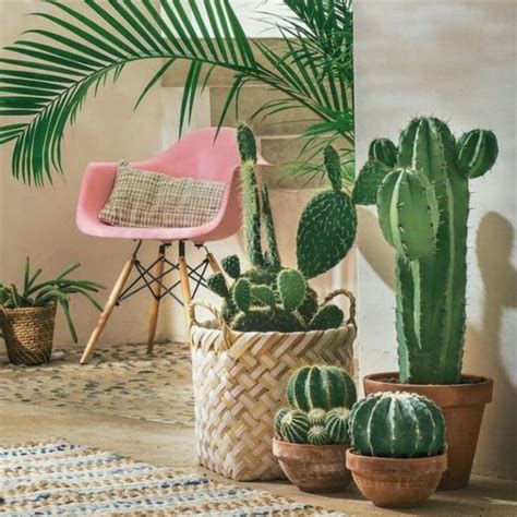 15 Ideas Para Decorar Tu Casa Con Cactus Y Suculentas ¡te Encantarán