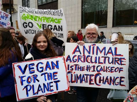 15 Wonderful Pro Vegan Signs Spotted At The London Climatemarch Peta