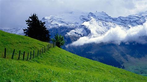 Landscape Of Snow Covered Mountains With Fog And Green