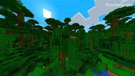 Jungle Edge M Biome Pixelmon Reforged Wiki