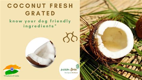 Making home cooked or raw pet food with dr. Coconut (Grated) - Home Cooked Dog Food - YouTube