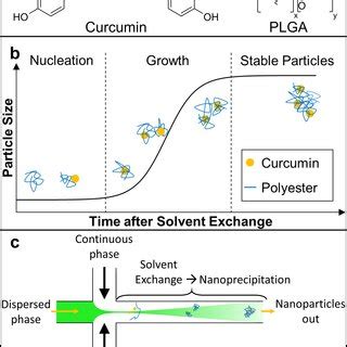 Plga nanoparticles of docetaxel were prepared by emulsification evaporation method and were activated plga nps structure was further evaluated by its 1h nmr spectra to predict the ratio of. (PDF) Microfluidic Assisted Nanoprecipitation of PLGA Nanoparticles for Curcumin Delivery to ...