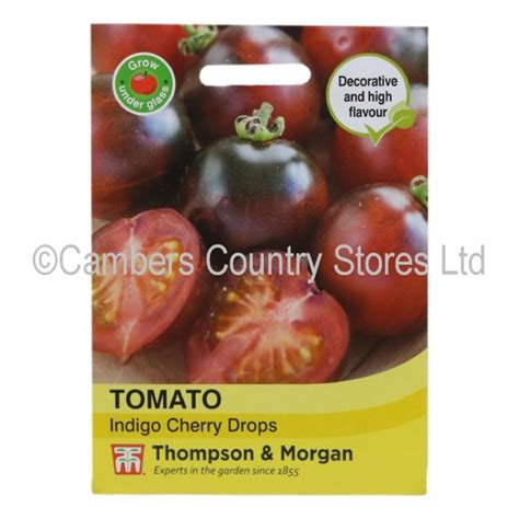 Thompson And Morgan Tomato Indigo Cherry Drops Cambers Country Store