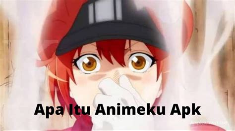 Animeku Apk Versi Terbaru 2023 Nonton Anime Subtitle Indonesia