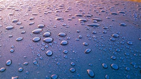 Hd Wallpaper Bubble Clean Clear Close Up Dew Droplets Drops Of