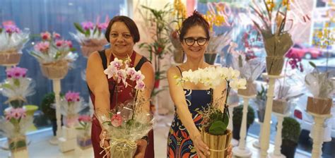 Prestes A Fechar Floricultura Distribui Flores Em Sp Para “alegrar A Vida“ Cnn Brasil