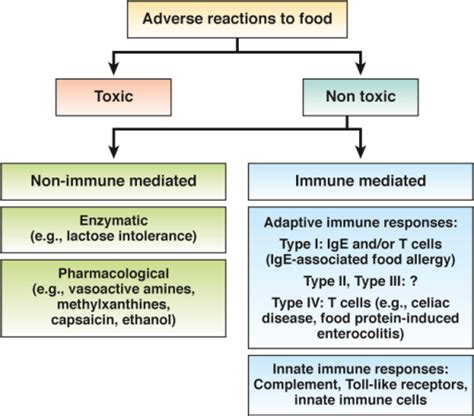 Classification Of Food Intolerance Adverse Reactions T Open I