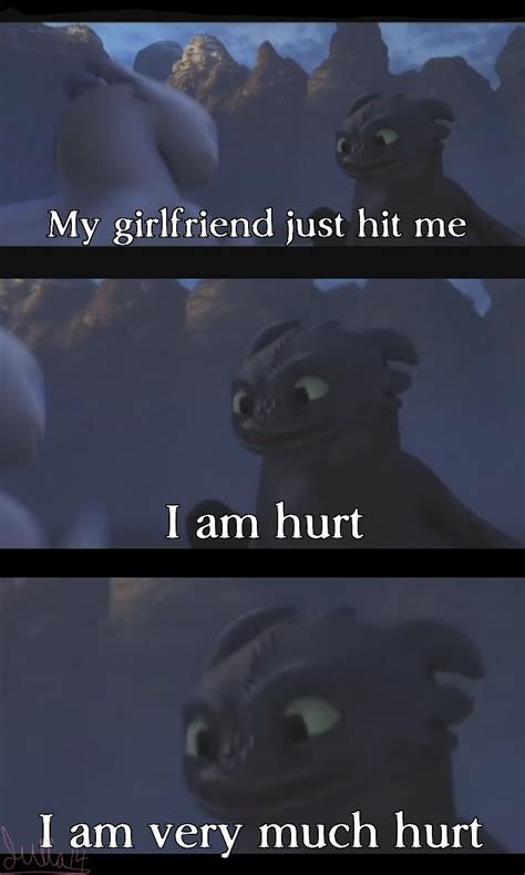 Toothless And Light Fury Meme