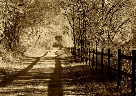 Country Road Sepia Tone Photograph By Anne Barkley Pixels