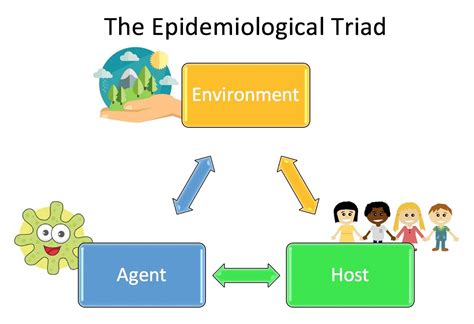 In such circumstances agent, host and. Chapter 12: The Epidemiological Triad | Models and ...