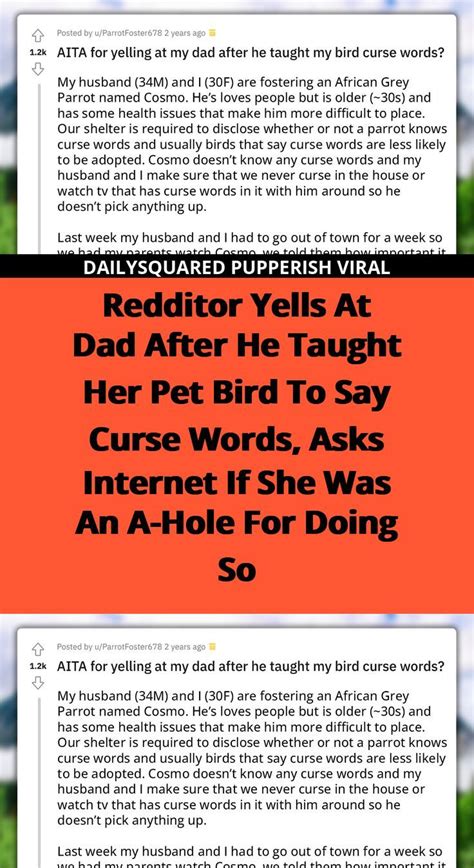 Redditor Yells At Dad After He Taught Her Pet Bird To Say Curse Words Asks Internet If She Was