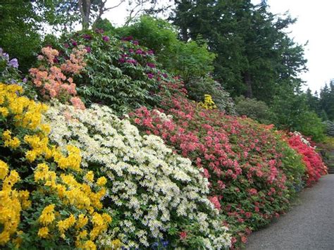 Dawyck Botanic Garden Peebles 2019 All You Need To Know Before You