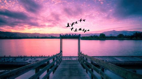 347000 Lake Dock Sunset Beautiful Scenery 4k Wallpaper Mocah Hd