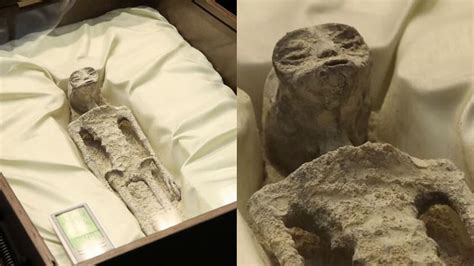 1000 Year Old ‘alien Corpses Displayed In Glass Cases In Mexico