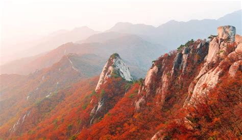 Best Mountains To Go Hiking In South Korea
