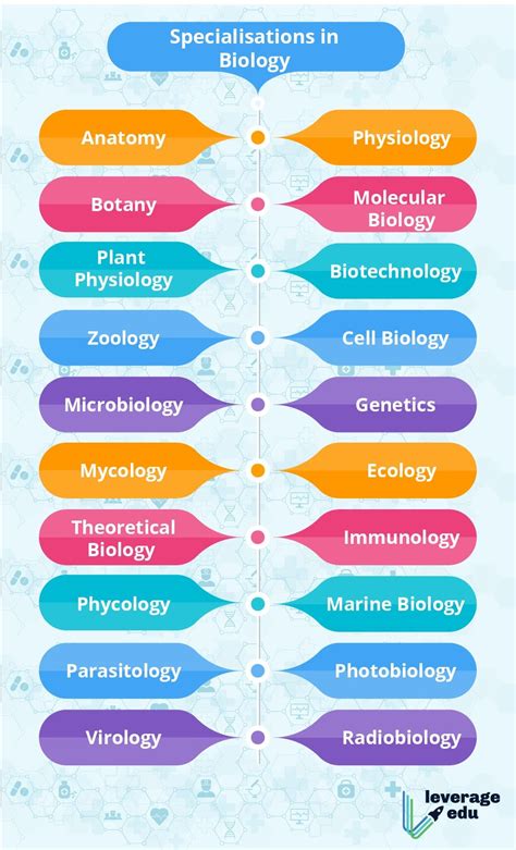 Scope Of Biology As A Career Prerequisites And Pathways Leverage Edu
