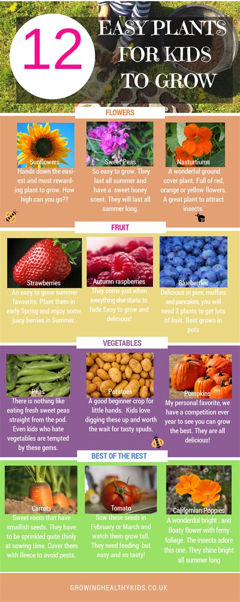 Find out easy flowers to grow from seed and how to grow flowers for kids with our step by step guide below. 12 EASY PLANTS FOR KIDS TO GROW, vegetables, fruit ...