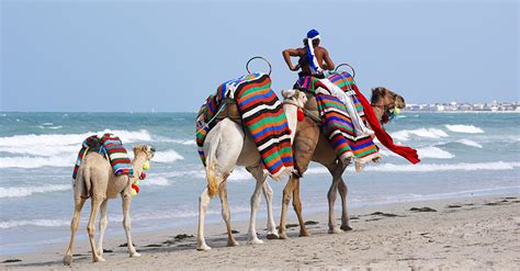 Maybe you would like to learn more about one of these? Giá vé máy bay đi Tunisia của Qatar Airways