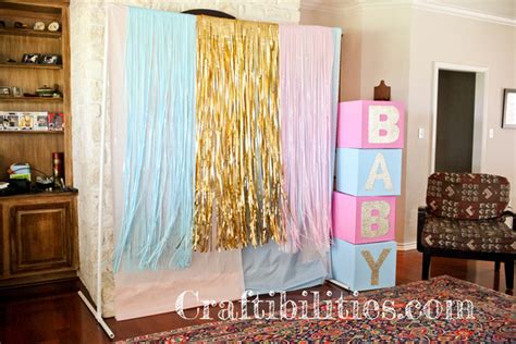 Gender Reveal Baby Shower Party Ideas Diy Decorations Large