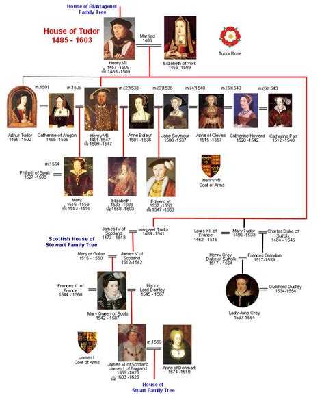 The cards need to be cut up. Tudor Family tree | Family tree, Tudor history, European ...
