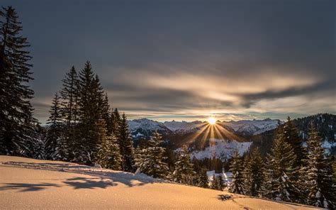 Download Wallpaper 3840x2400 Mountains Winter Snow Sunshine Firs 4k