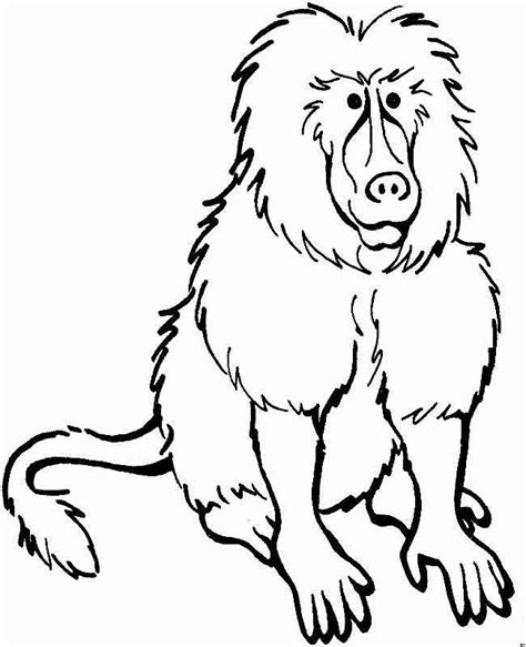 Baboon Coloring Page Free And Online Coloring