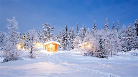 Husky Tour In The Wilderness Of Lapland 4 Days 3 Nights Nordic Visitor