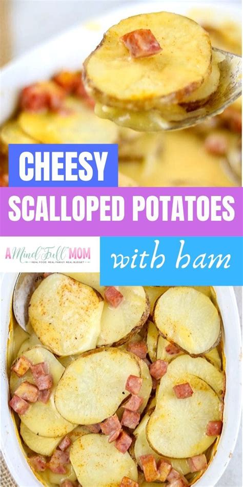 If you have a a perfect potluck casserole, this one feeds a crowd! Leftover ham shines in a simple ham and potato casserole made with sliced potatoes and a ...