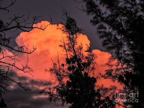 Cumulus Explosion Photograph By Marilee Noland Fine Art America