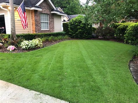 Common Types Of Zoysia Grass Sod University Sod Solutions