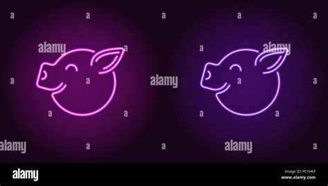 Pig Sign Neon Stock Vector Images Alamy